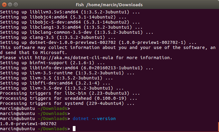 .NET Core running on Ubuntu 16.04